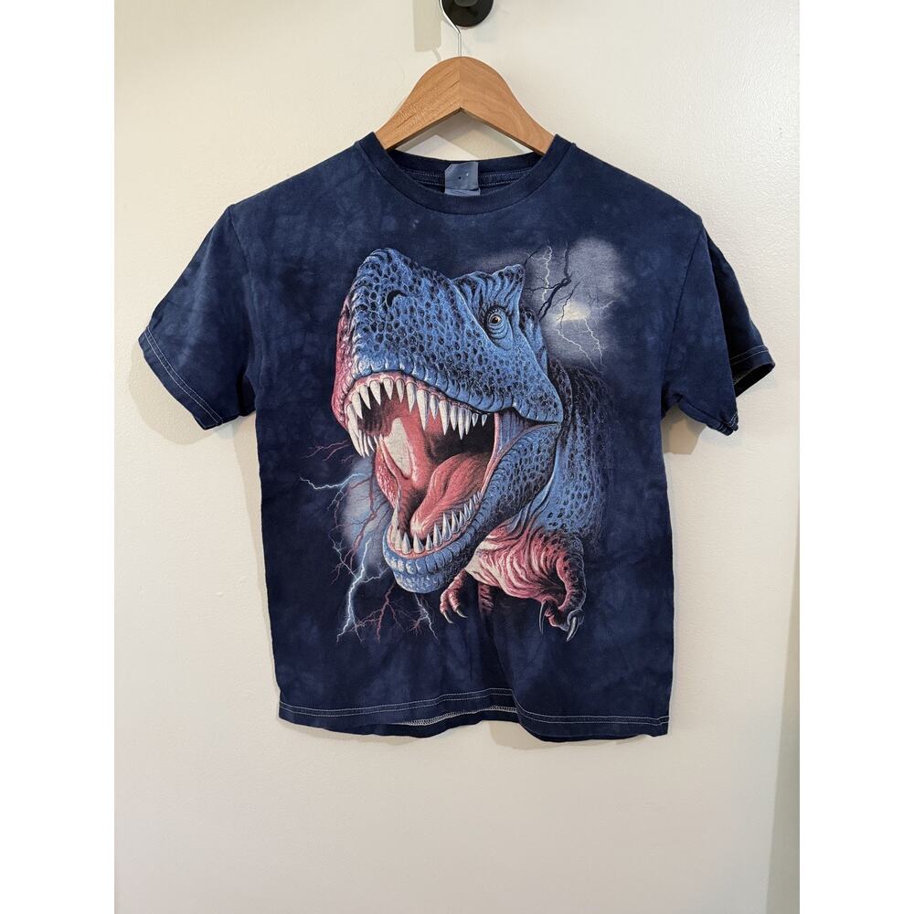 The Mountains Shirt Kids Size Large T-Rex Dino Graphic Tye Dye Animal